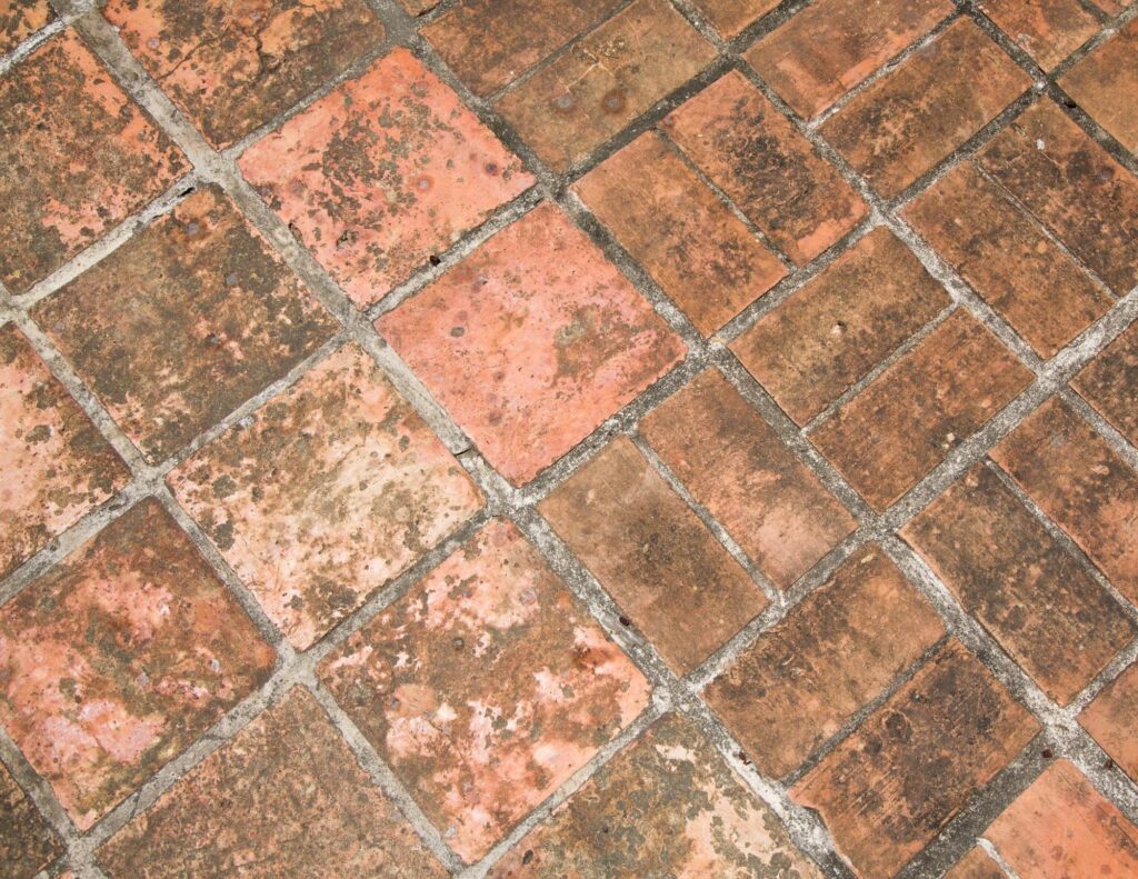 moldy pavers