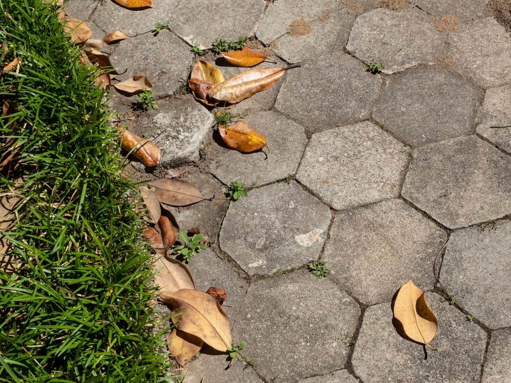 How to get leaf stains out of pavers? JS Brick Pavers