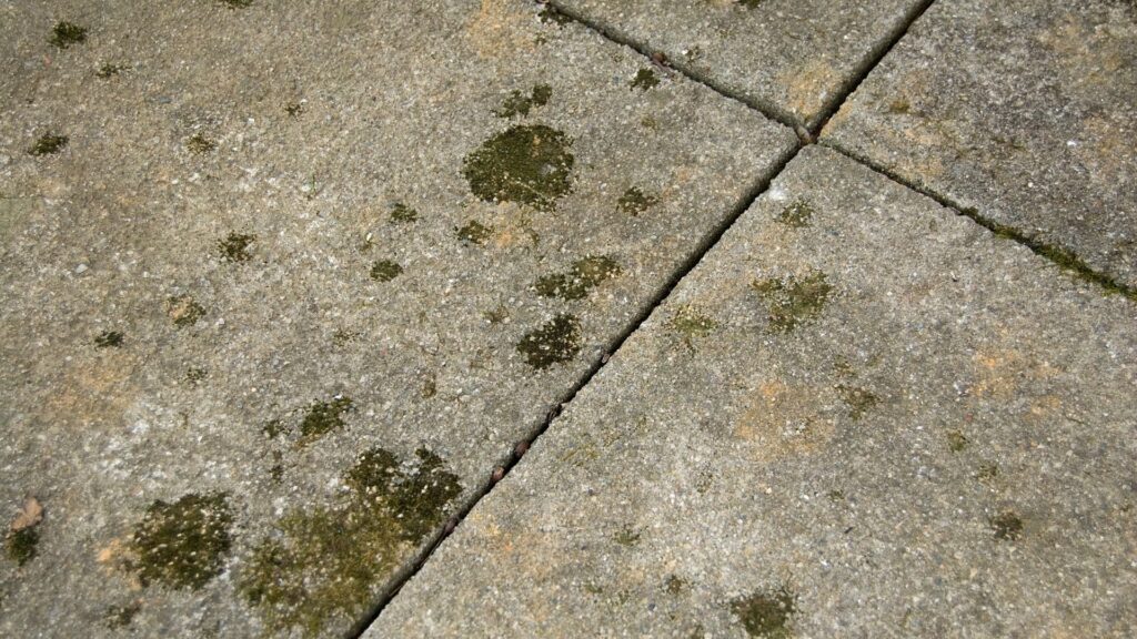 How To Clean Dirty Paving Stones JS Brick Pavers