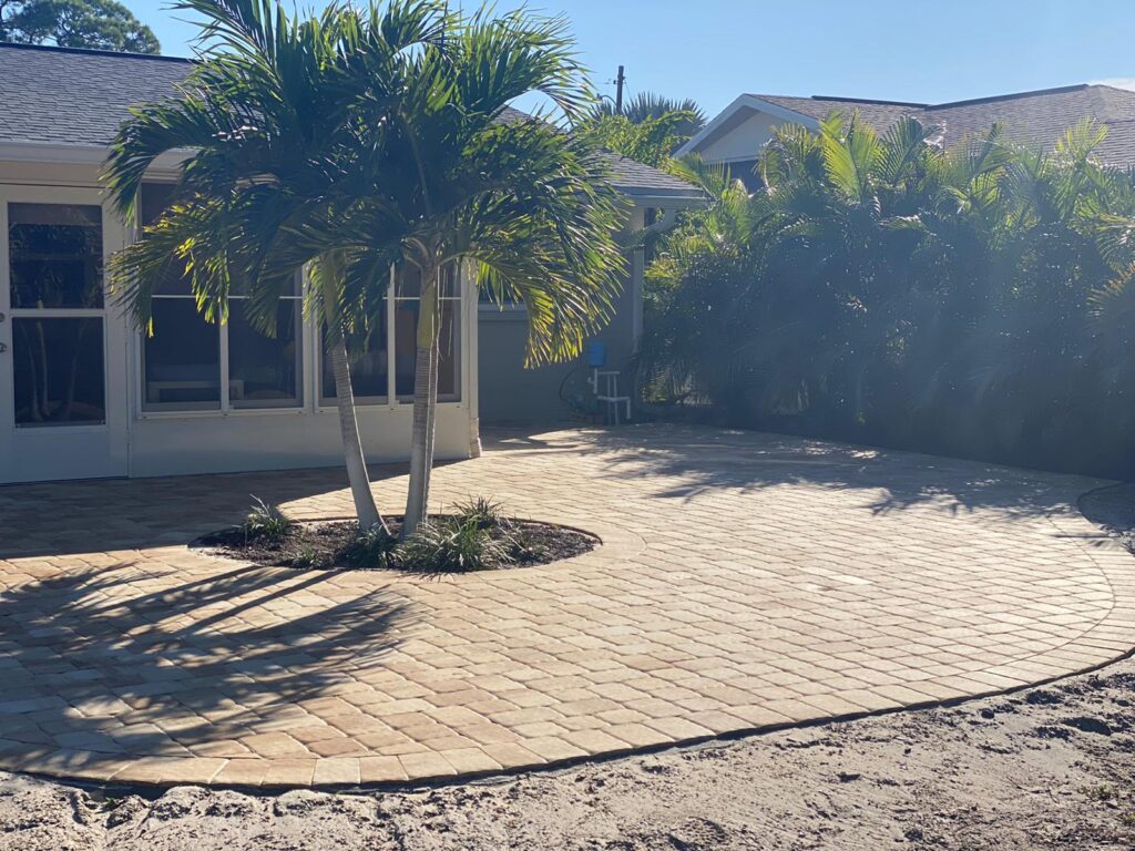 House backyard with paver patio  and a palm tree in the middle