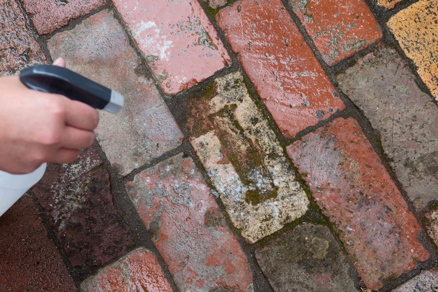 Why do Bricks Turn Black? How to Fix it? JS Brick Pavers