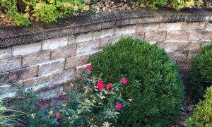 Clean Mold off Retaining Walls