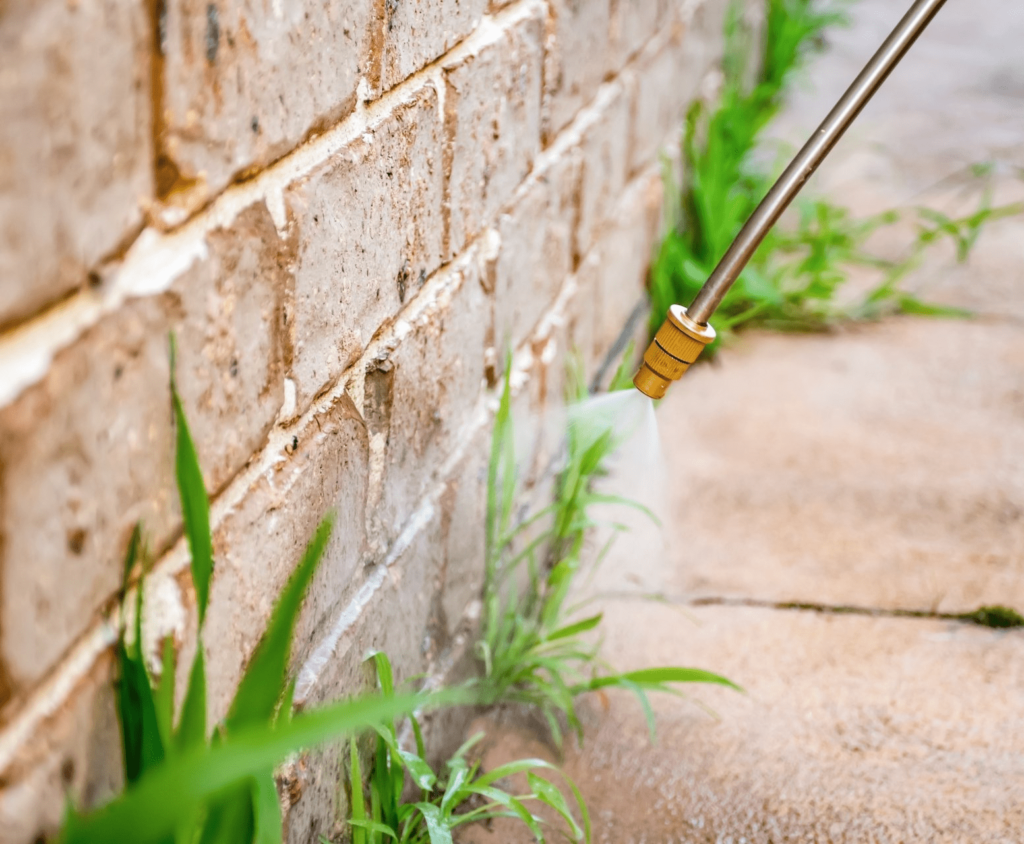 How to kill grass between pavers