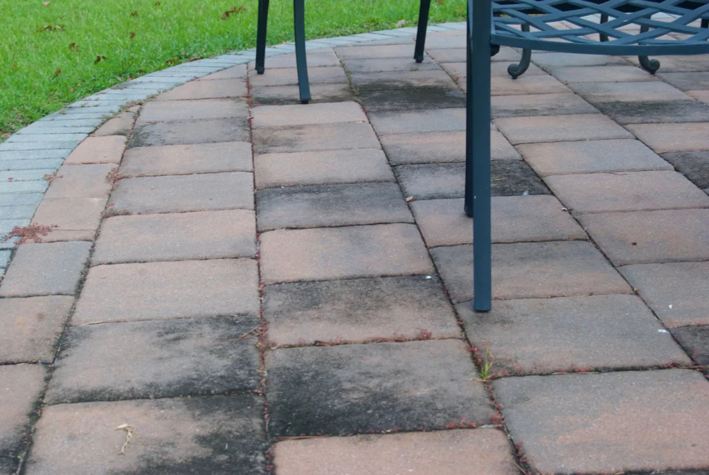 How to clean algae from a concrete patio