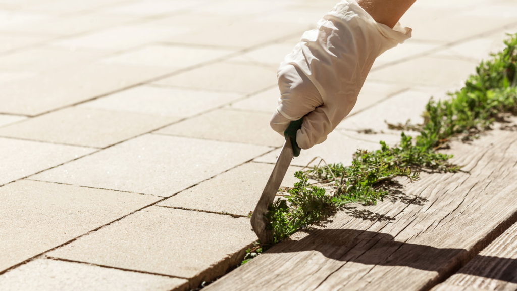 removing weeds in paver cracks