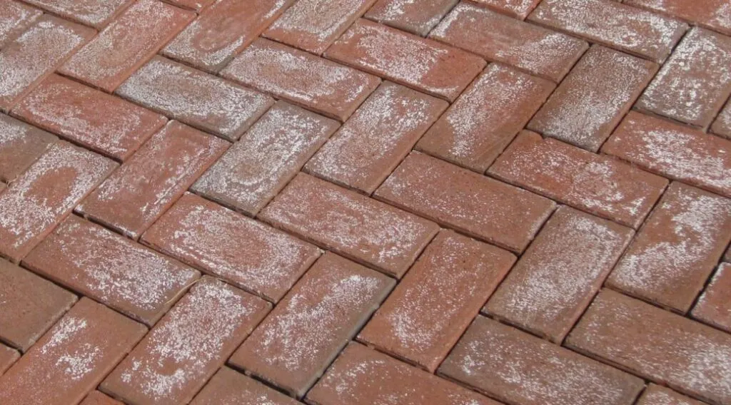 White Stuff on Bricks