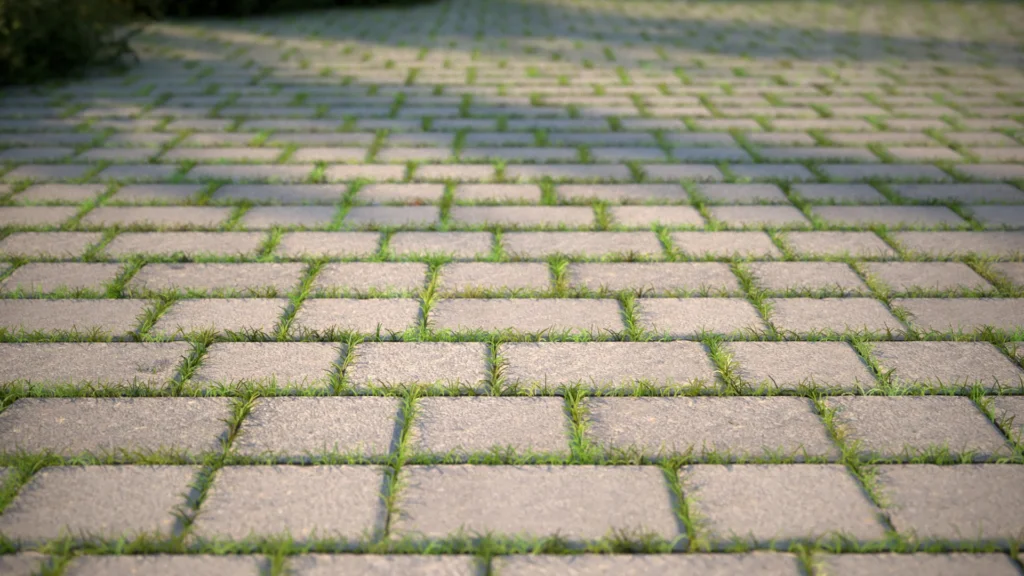 how to clean pavers without killing grass